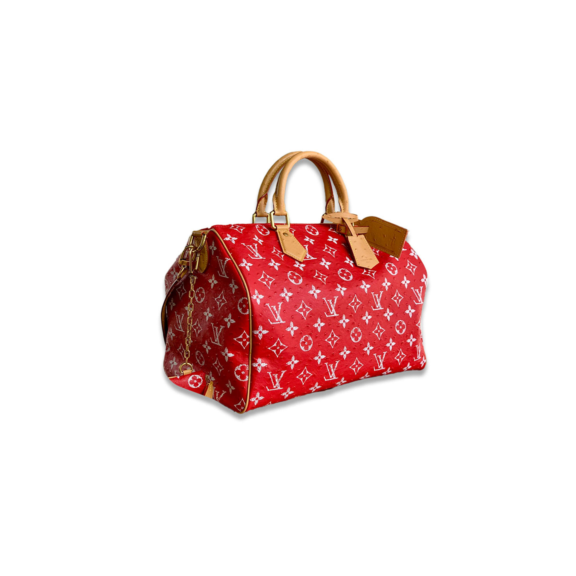 l0vis Vvtt0n speedy p9 bandouliere 40 n88228 (40*26*23cm)